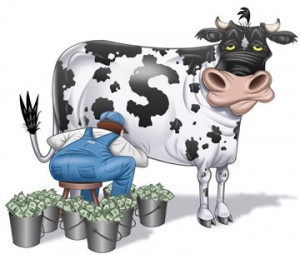 cash-cow