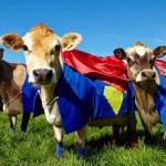 Super Cows