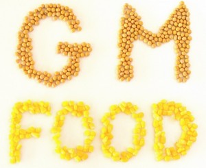 GMOfood