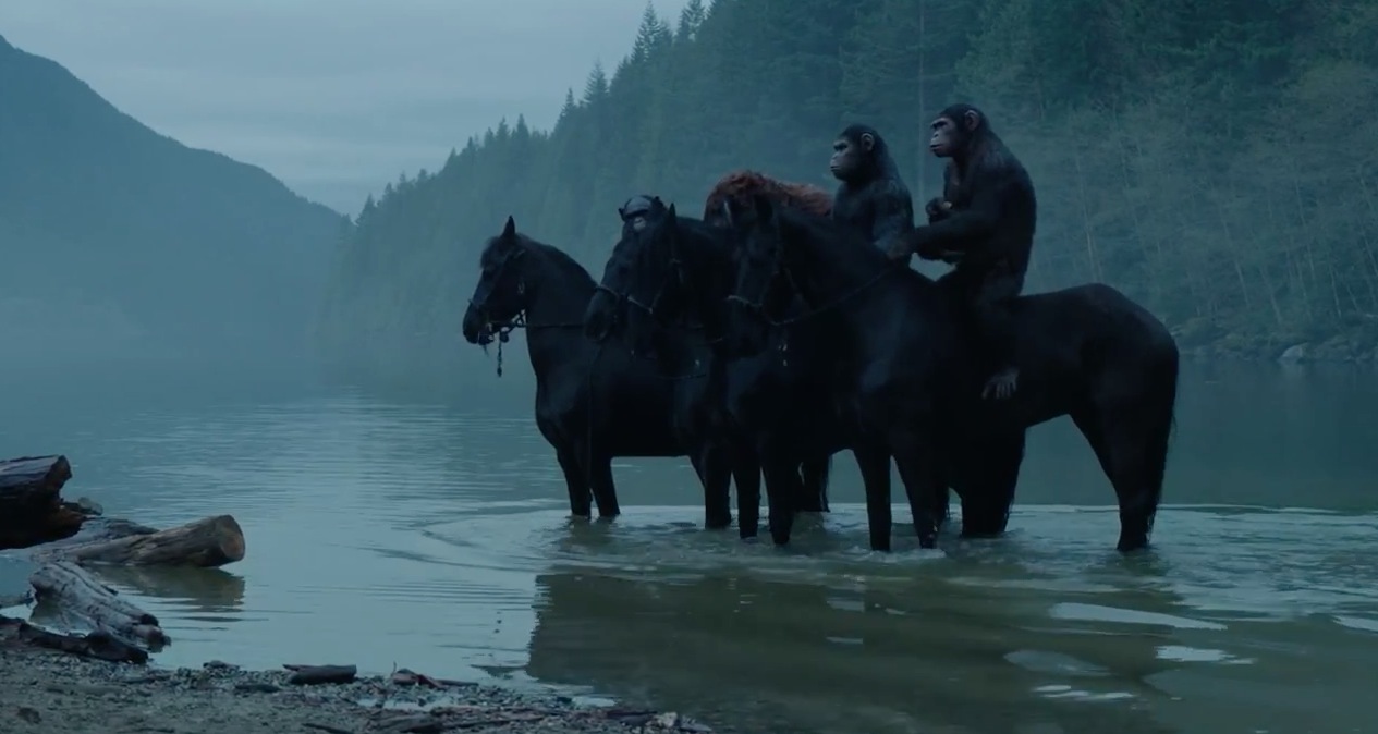 Apes have evolved to use weapons, and ride horses