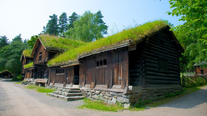 Norwegian-Museum-Of-Cultural-History-51869